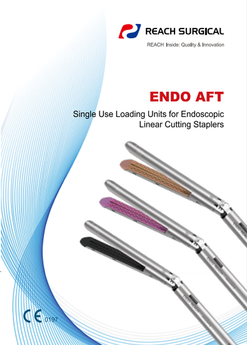 endo-aft-1