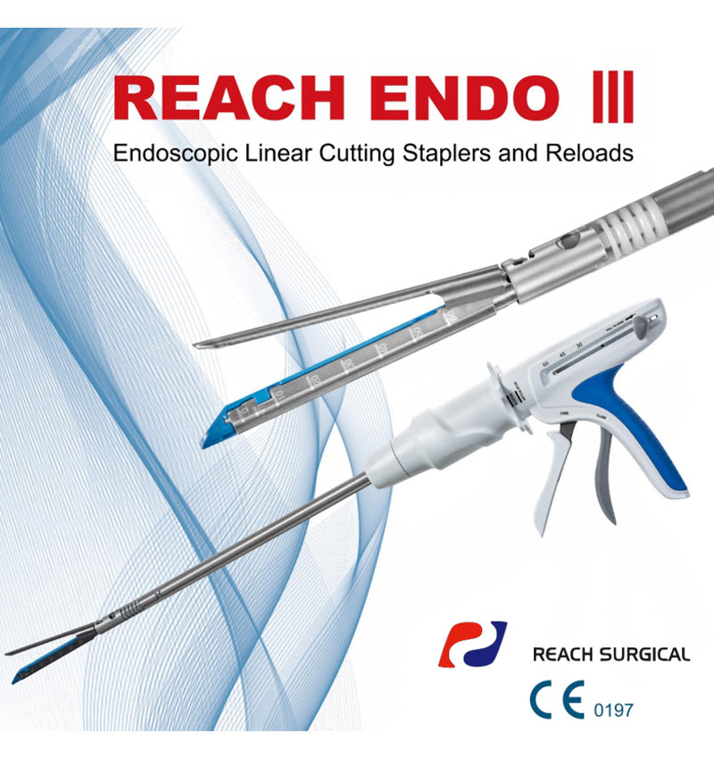 reach-endo-III-1